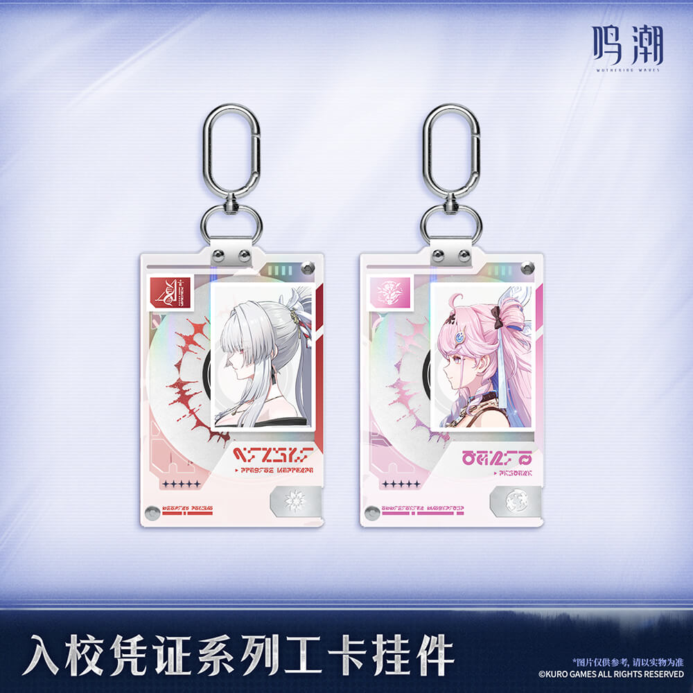 Wuthering Waves Entry Permit Series ID Card Keychain