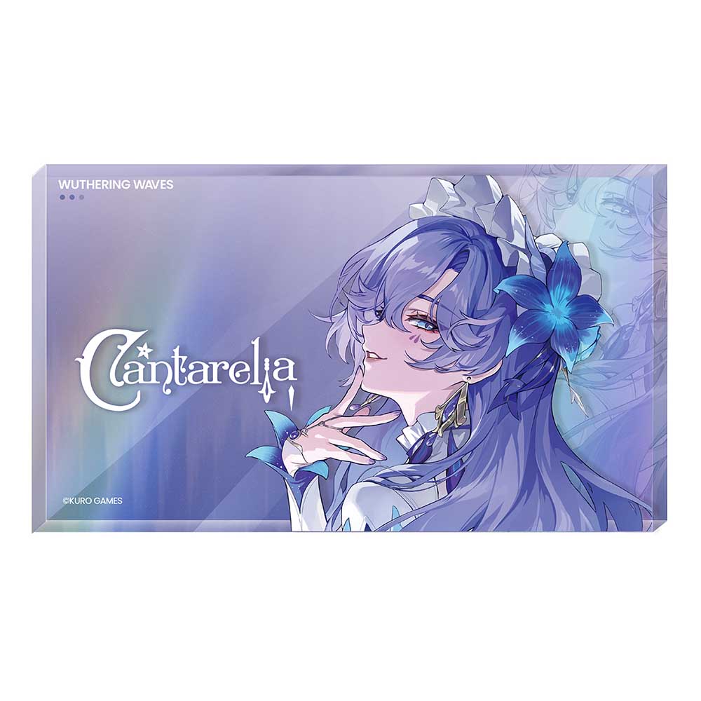 【 Pre order 】Wuthering Waves Resonator Theme Series Avatar Acrylic Block Vol.2