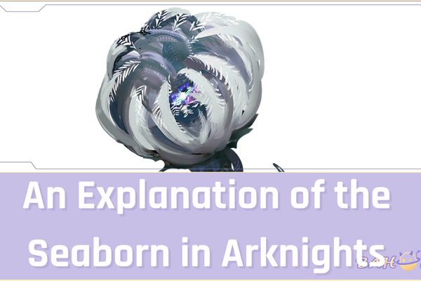 An Explanation of the Seaborn in Arknights