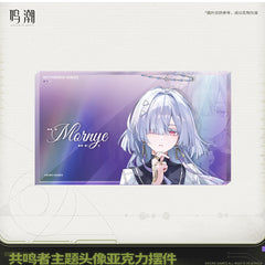 Wuthering Waves Resonator Themed Avatar Acrylic Block