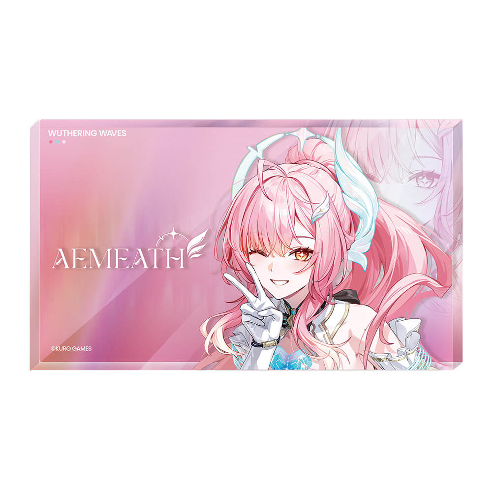 Wuthering Waves Resonator Themed Avatar Acrylic Block