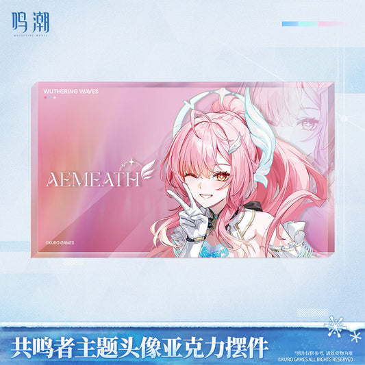 Wuthering Waves Resonator Themed Avatar Acrylic Block