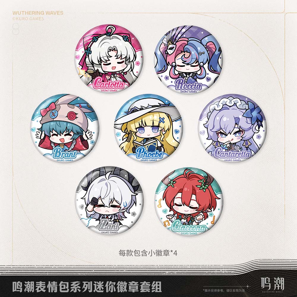 Wuthering Waves Sticker Series Mini Badge Set